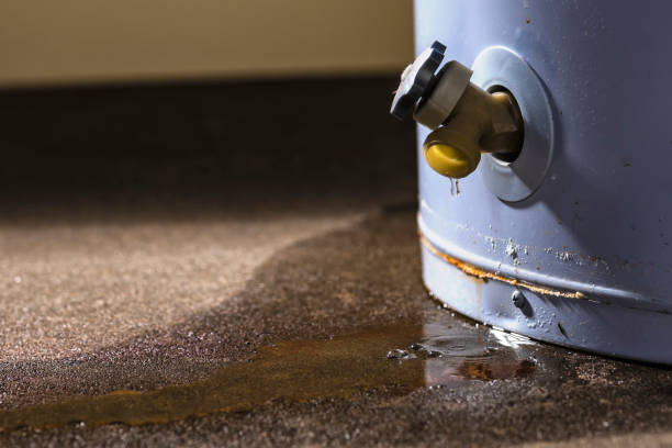 Carpet water damage restoration in UT