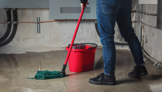 Reliable UT Water damage restoration Solutions