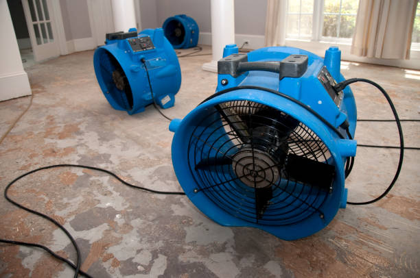 Best Residential water damage restoration  in Kaysville, UT