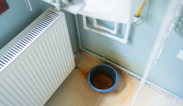 Best Mold removal after water damage  in Kaysville, UT