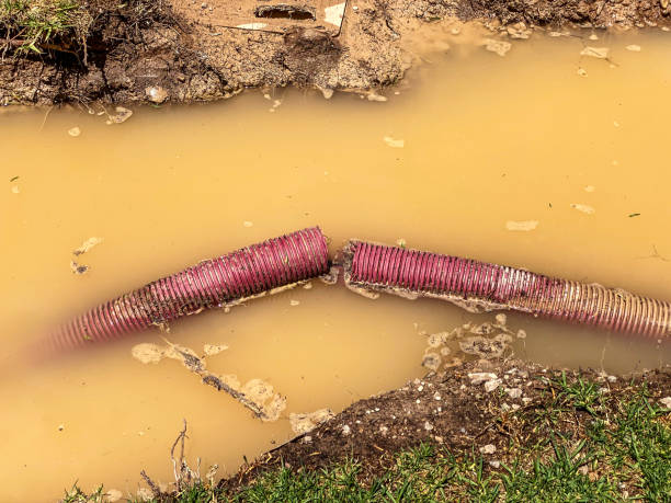 Best 24-hour water damage restoration  in Kaysville, UT